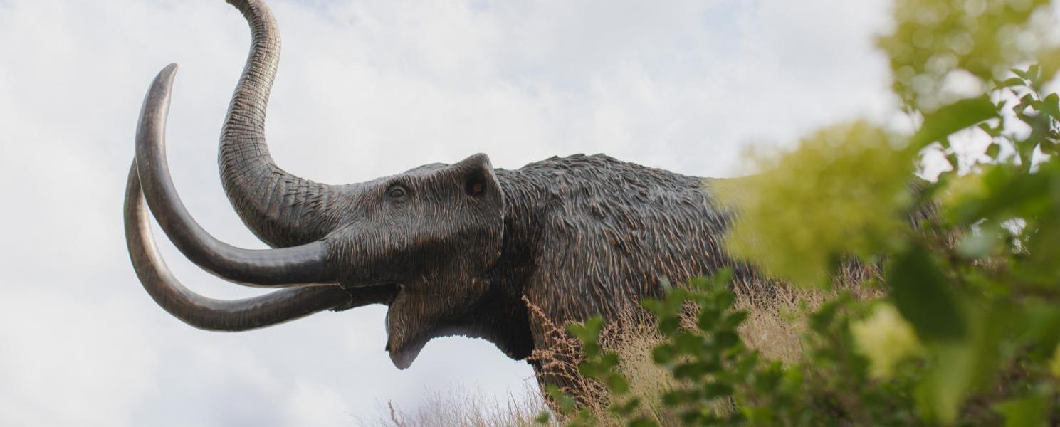 Statue of School Mastodon